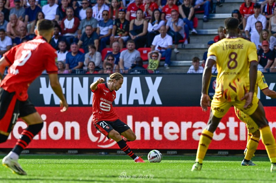 教练的角色 教练的角色